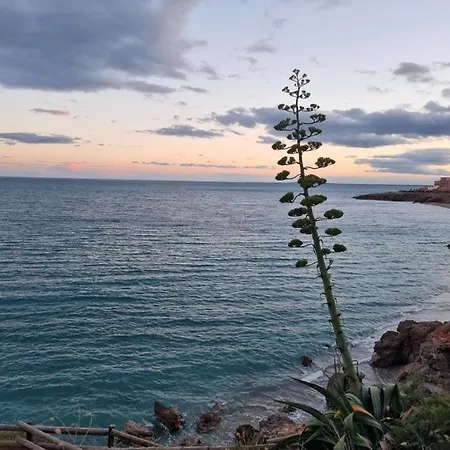 Vue Linge Fourni Daire